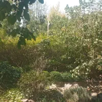 اجاره باغ ۶۰۰۰متری با اصالت مهرشهر چمن ۲