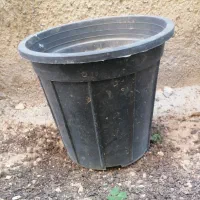 گلدان پلاستیکی