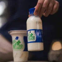 کربلا دوغ ماست درجه یک اربعین کربلا