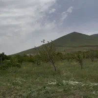 باغ