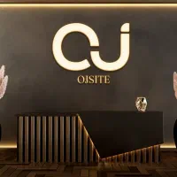 طراحی سایت، لوگو، گرافیک و سئو و سرعت با نت ملی