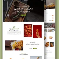 طراحی سایت اقساطی+ سئو (ویژه کسب و کارها)