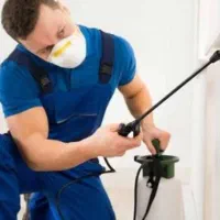 سمپاشی حشرات درکرج فردیس مارلیک سرآسیاب چهارباغ ..