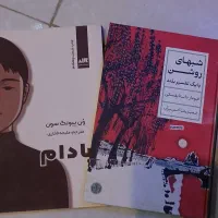 شبهای روشن داستایفسکی به همراه اشانتیون کتاب بادام