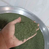 نعناع خشک درجه یک