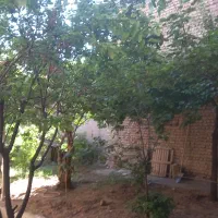307-متر-ویلا