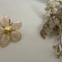 اکسسوری شیک