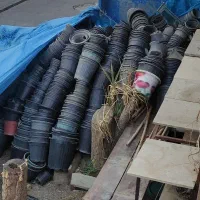 گلدان پلاستیکی گلخانه ای