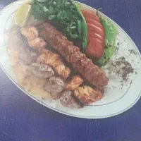 استخدام نیرو در بیرون بر بانشاط