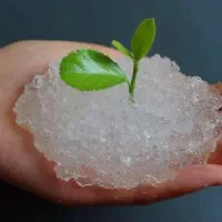 هیدروژل