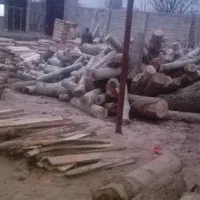 خرید و فروش چوب با قیمت مناسب