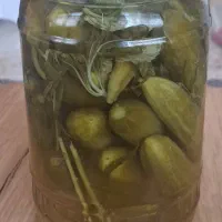 فروش خیار شور سرکه ای خونگی تردوخوشمزه