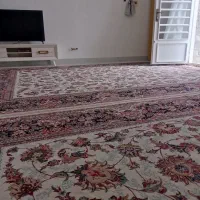 فرش|فرش|کوهدشت, |دیوار