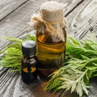 روغن ماساژ خراطین