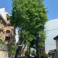 ویلایی-دو-بر-142-متر-سند-تاپ-لوکیشن-منظریه