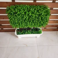 گلدان گل مصنوعی دو عدد هر کدام ۱.۷۰۰میلیون