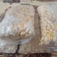 لوبیا چیتی تر امساله