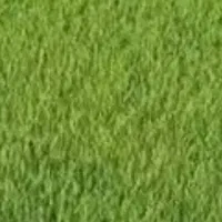 بذر چلتوک نشا