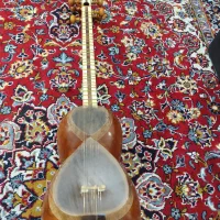 تار حرفه ای درگاهی