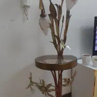 آباژور سه شاخه زیبا