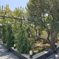 باغ-چهاردیواری-داخل-بافت-جواز-ساخت-کرد-امیر
