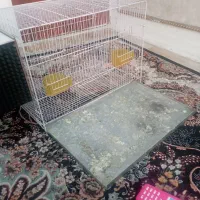 فروش قفس پرنده طوطی ملنگو عروس