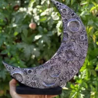 تزیینی|مجسمه، تندیس، ماکت|گرگان, |دیوار