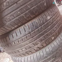 لاستیک سمندی