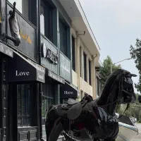 288 متر تربگوده با پروانه ساخت/بدون مشابه/