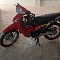 بی کلاج دلفین