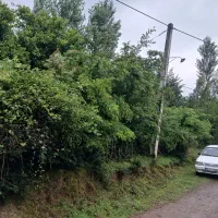 فروش 2 عدد خانه سنتی  در تطف رود الیان