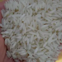 برنج طارم هاشمی اعلا و برنج ندا