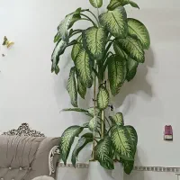 گل طبیعی دیفن