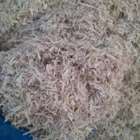 کاه  نخود چگنی درجه یک