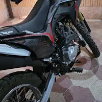 فروش تریل باسل ۲۵۰ در حد