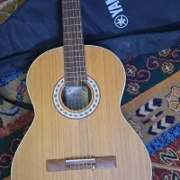 گیتار  ساز گیتار