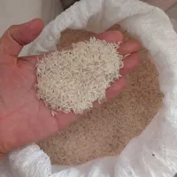 برنج شمال..گلستان