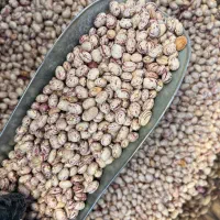 زندگی سالم با ویتالند