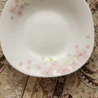 ارکوپال سالم