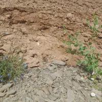 فروش-زمین-خانه-باغی