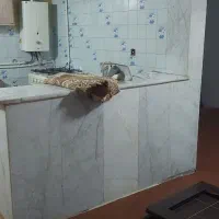 خانه سوئیت رهن اجاره