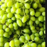 غوره|خوردنی و آشامیدنی|اراک, |دیوار