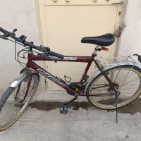 دوچرخه سایز ۲۶ اولمپیا