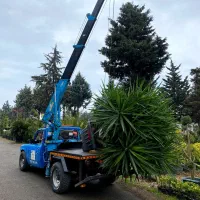 امداد خودرو یدک‌کش خودروبر جرثقیل رامسر