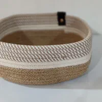 نظم دهنده قیطانی