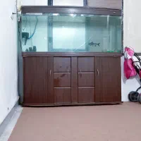 اکواریم شرکتی 10میل