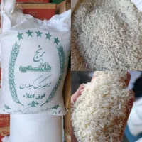برنج طارم هاشمی و فجر گرگان  و هورا پاکستانی