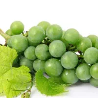غوره دیونه