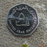ضامن میشم