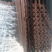 حفاظ شاخ گوزنی اکار